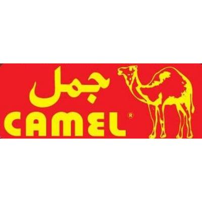 Camel