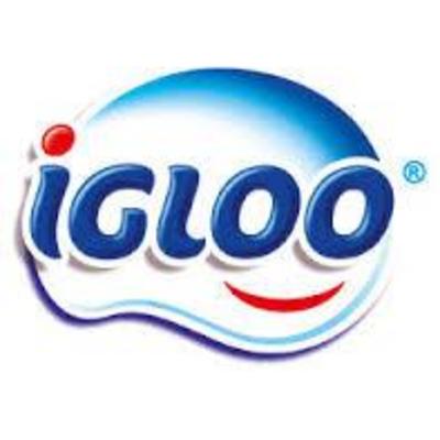 Igloo