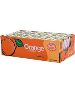 Orange Juice - Nectar 24 X  Piece (250 ml)