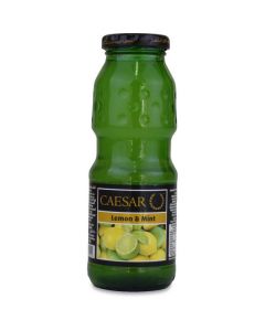 Lemon Mint Juice   (250 ml)