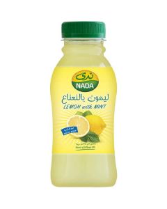 Lemon & Mint Juice   (300 ml)