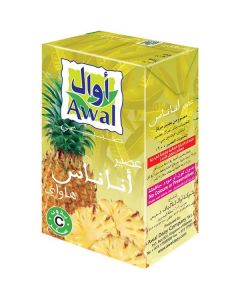 Hawaiian Pineapple Juice   (125 ml)