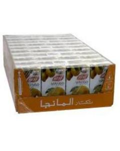 Mango Nectar 40 X  Piece (125 ml)