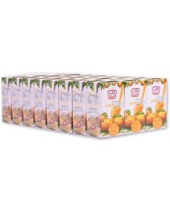 Mango Juice - Nectar 24 X  Piece (250 ml)