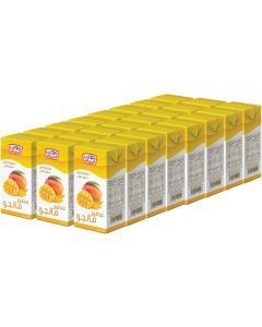 Mango Juice - Nectar 24 X  Piece (135 ml)