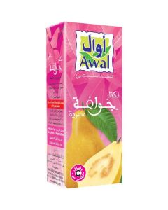 Egyptian Guava Nectar 24 X  Piece (200 ml)