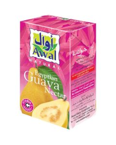 Egyptian Guava Nectar 24 X  Piece (125 ml)