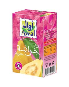 Egyptian Guava Nectar 24 X  Piece (250 ml)