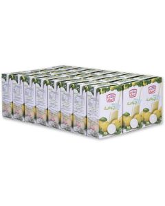 Guava Nectar 24 X  Piece (250 ml)