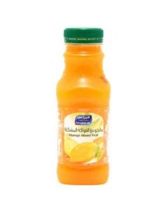 Mango and Mixed Fruit Juice 24 X  Piece (300 ml)