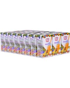 Cocktail Juice - Nectar 24 X  Piece (250 ml)