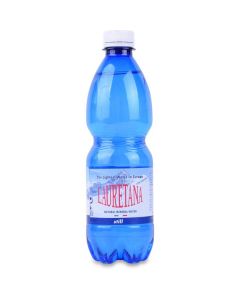 Natural Mineral Water - Plastic Bottle 24 X  Piece (500 ml)