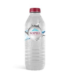 Natural Mineral Water - Plastic Bottle   (500 ml)