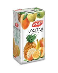 Fruit Cocktail Drink 24 X  Piece (250 ml)