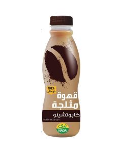 Iced Cappuccino Coffee 35 X  Piece (340 ml)