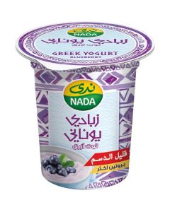 Greek Yoghurt With Blueberry   