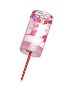 Push Up Ice Cream 120 X  Stick (90 ml)