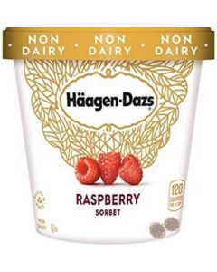 Raspberry Sorbet Ice Cream   (100 ml)