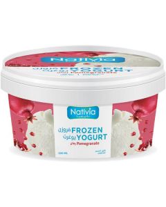 Frozen Yoghurt With Pomegranate   (500 ml)