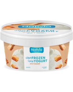 Frozen Yoghurt With Caramel   (500 ml)