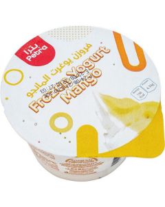 Frozen Yogurt Mango 6 X  Plastic Cup (150 ml)