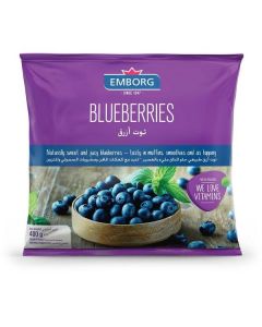 Frozen Blueberries 20 X  Pouch 