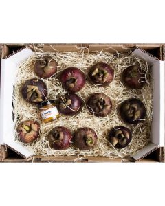 Mangosteen - Thailand 12 X  Piece 