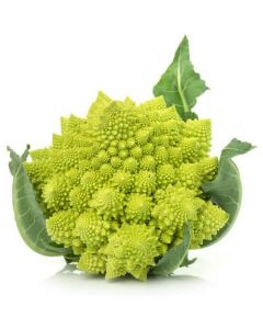 Romanesco - Netherlands   