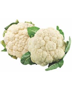 Cauliflower - Saudi   