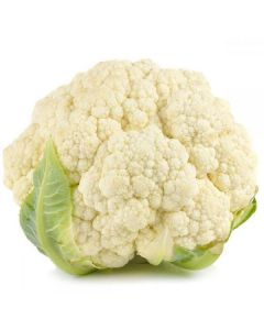 Cauliflower - Iran   