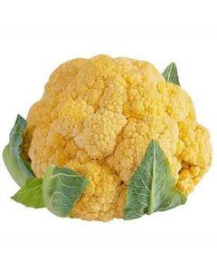 Orange Cauliflower - Netherlands   