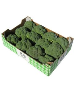 Broccoli - Spain   