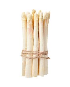 White Asparagus - Netherlands   