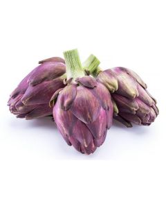 Baby Artichoke Violet - Netherlands   