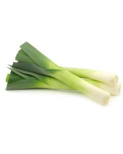 Leeks - Netherlands   