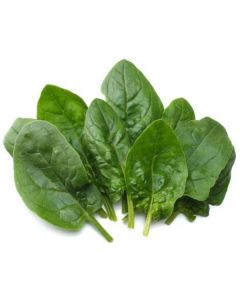 Spinach - Kuwait   