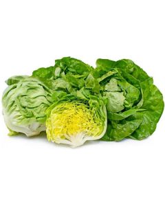 Boston Lettuce - Kuwait   