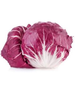 Red Radicchio Lettuce - Nethrlands   