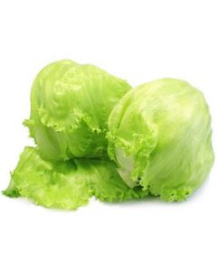 Iceberg Lettuce - USA   