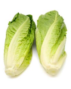 Romaine Heart Lettuce - USA   