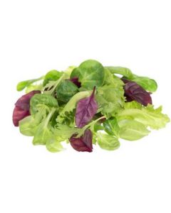 Mesclun Lettuce - Netherlans   