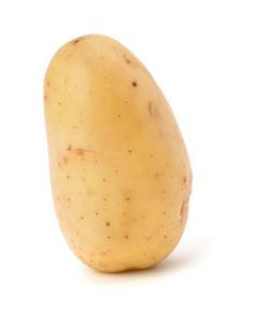 Agata Potato - Netherlands   