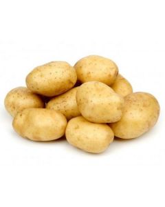 Potato - Lebanon   