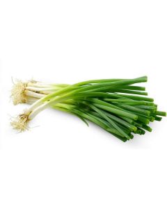 Green Thick Spring Onion - Lebanon   