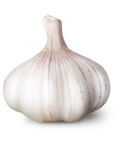 Garlic Whole Bulbs - China   