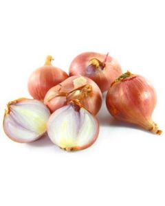 Round Shallots - Netherlands   