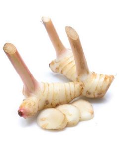 Galangal - Thailand   