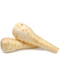 Parsnips - Netherlands   