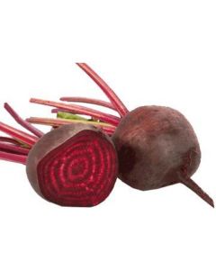 Red Beetroot - Netherlands   