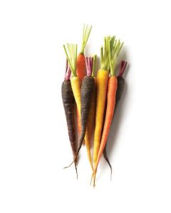 Baby Rainbow Carrots - Netherlands 1 X  Plastic Box 